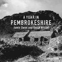 bokomslag A Year in Pembrokeshire