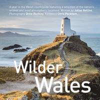 bokomslag Wilder Wales (Compact Edition)