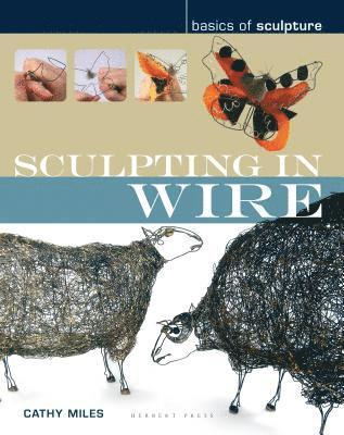 bokomslag Sculpting in Wire