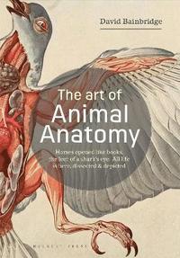 bokomslag The Art of Animal Anatomy