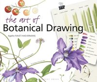 bokomslag The Art of Botanical Drawing