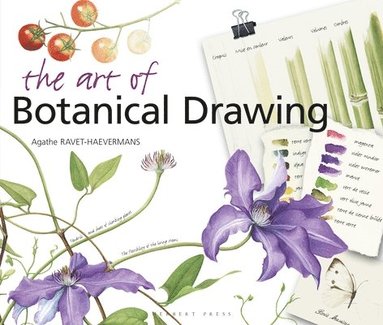 bokomslag The Art of Botanical Drawing