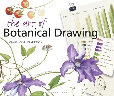 The Art of Botanical Drawing 1