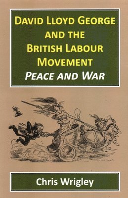 bokomslag David Lloyd George British Labour Movement