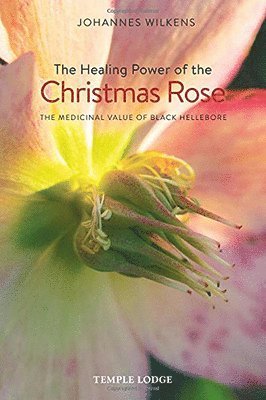 bokomslag The Healing Power of the Christmas Rose