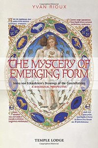 bokomslag The Mystery of Emerging Form