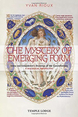 The Mystery of Emerging Form 1