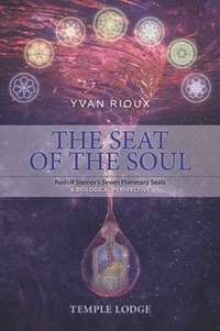 bokomslag The Seat of the Soul