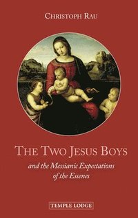 bokomslag The Two Jesus Boys