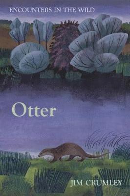 Otter 1