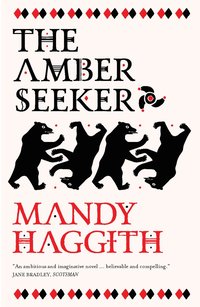 bokomslag Amber Seeker