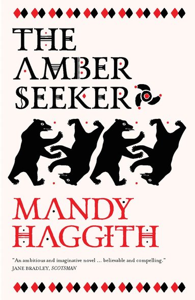 bokomslag Amber Seeker