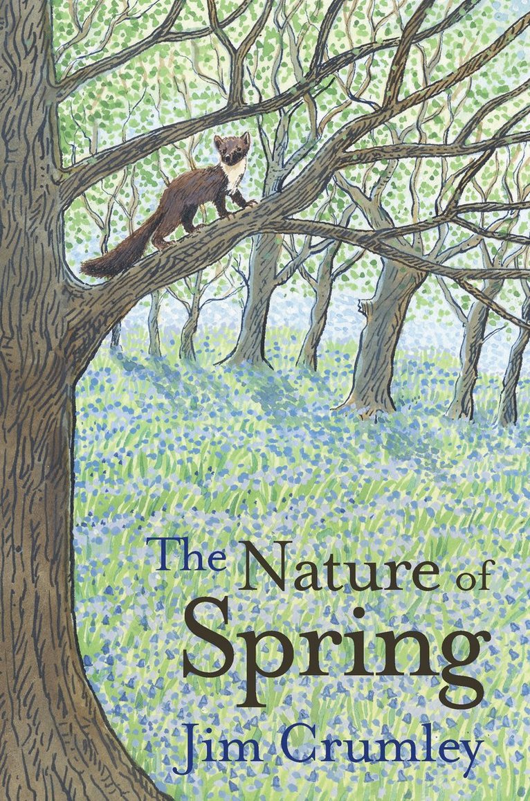 The Nature of Spring 1