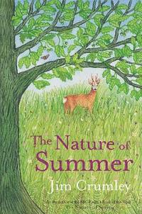 bokomslag The Nature of Summer