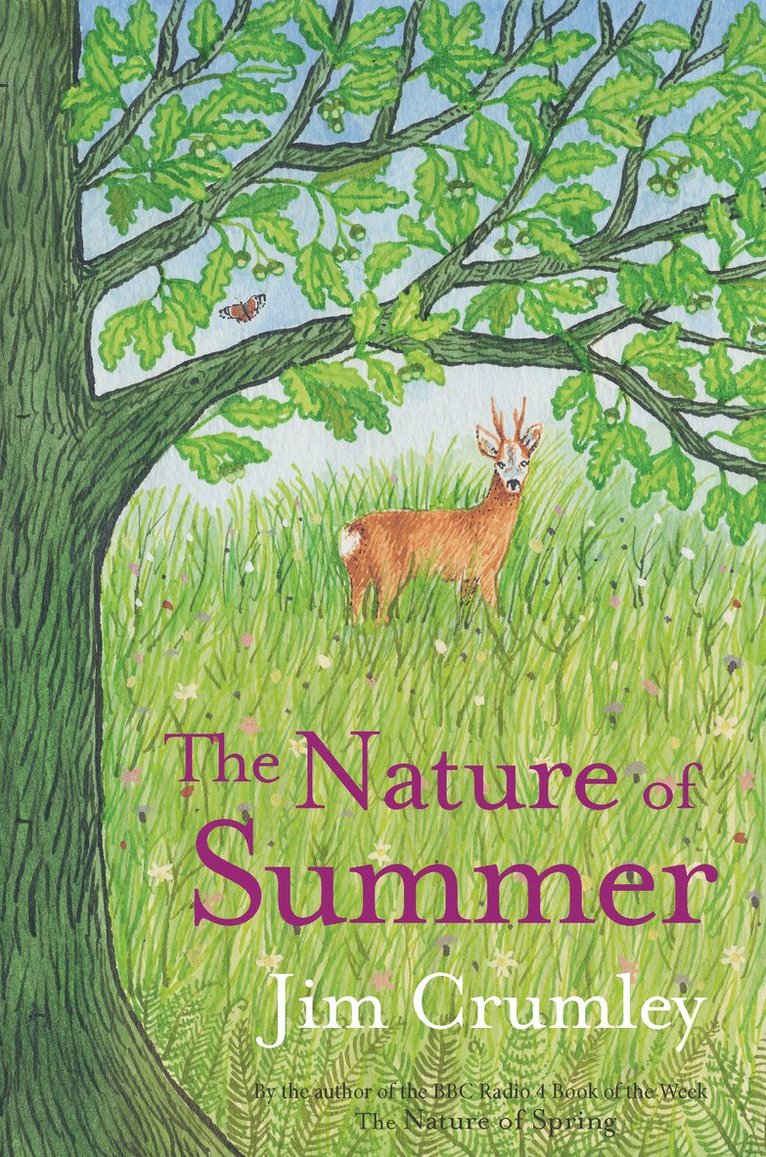 The Nature of Summer 1