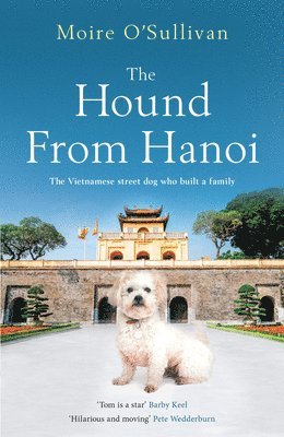 bokomslag The Hound from Hanoi