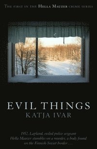 bokomslag Evil Things