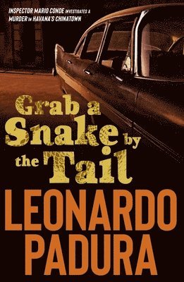 Grab a Snake by the Tail 1