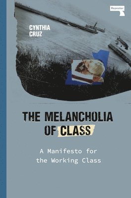 bokomslag Melancholia of Class
