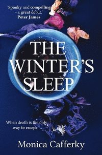 bokomslag The Winter's Sleep