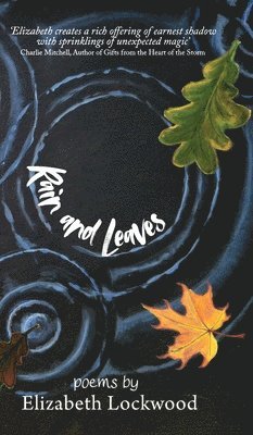 Rain and Leaves
