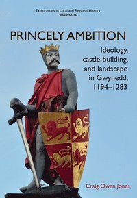 bokomslag Princely Ambition