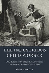 bokomslag Industrious Child Worker