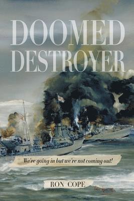 bokomslag Doomed Destroyer