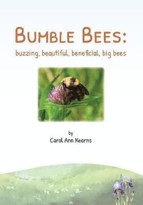 Bumble Bees 1