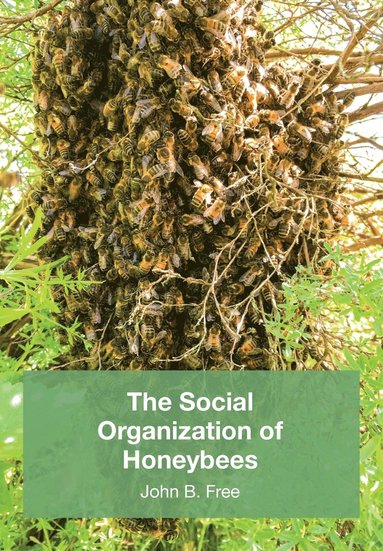 bokomslag Social Organisation of Honeybees