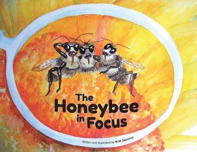 bokomslag Honeybee in Focus