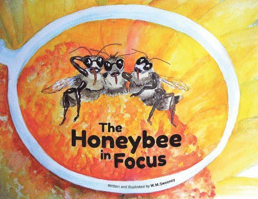 The Honeybee in Focus 1