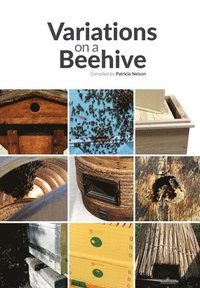 bokomslag Variations on a Beehive