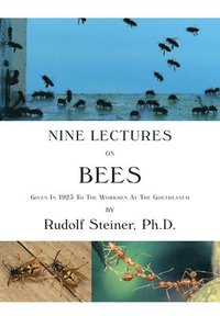 bokomslag Nine Lectures on Bees