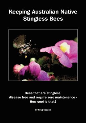 Keeping Australian Native Stingless Bees 1