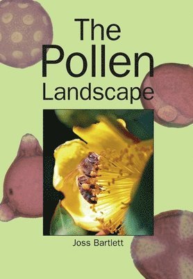 The Pollen Landscape 1