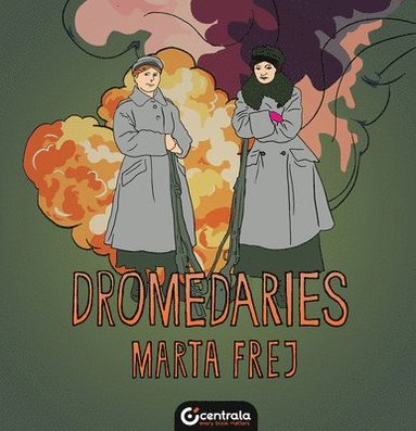 bokomslag Dromedaries