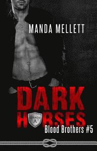 bokomslag Dark Horses