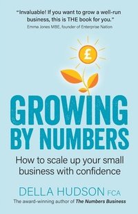 bokomslag Growing By Numbers: How to scale up your business with confidence