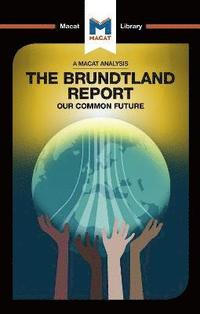 bokomslag An Analysis of The Brundtland Commission's Our Common Future