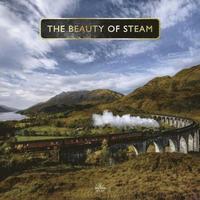 bokomslag Beauty Of Steam