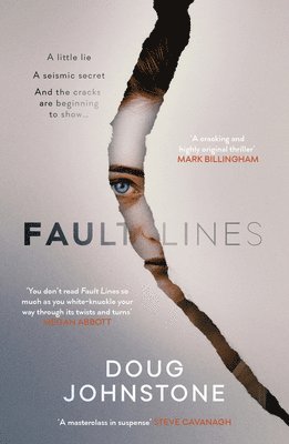 bokomslag Fault Lines