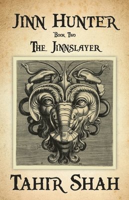 bokomslag Jinn Hunter