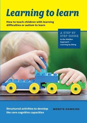bokomslag Learning to Learn: How to teach children with learning difficulties or autism to learn