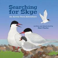 bokomslag Searching For Skye