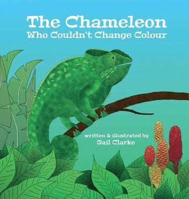 The Chameleon Who Couldn't Change Colour 1