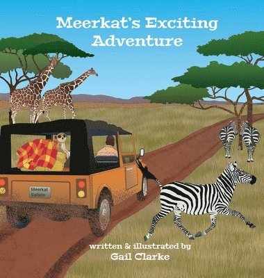 bokomslag Meerkat's Exciting Adventure