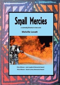 bokomslag Small Mercies