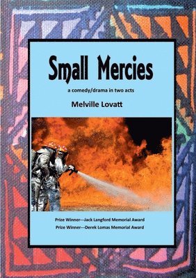 bokomslag Small Mercies