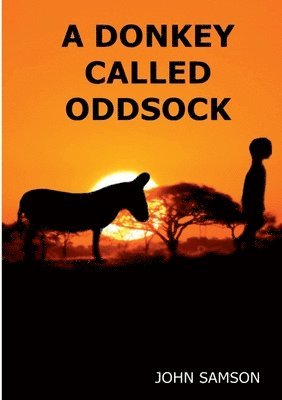 A Donkey Called Oddsock 1